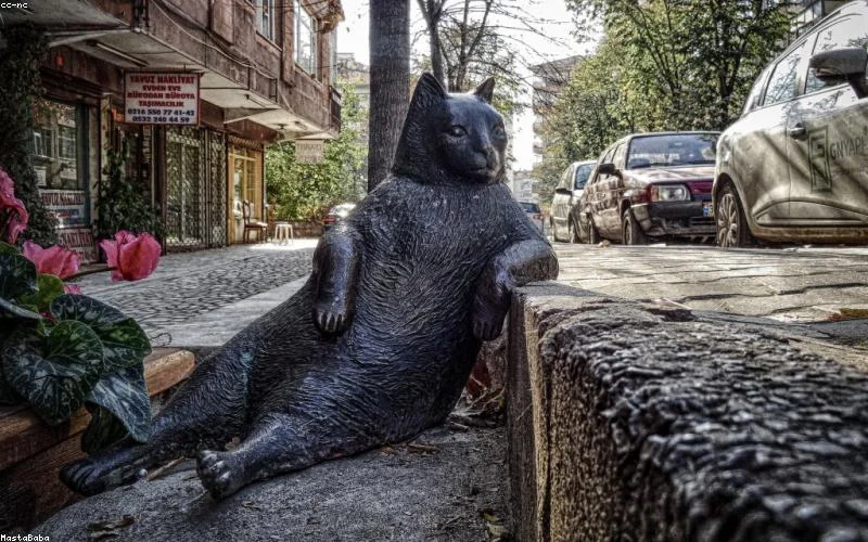 Social Media Marketing: Platform Bazlı Strateji Rehberi